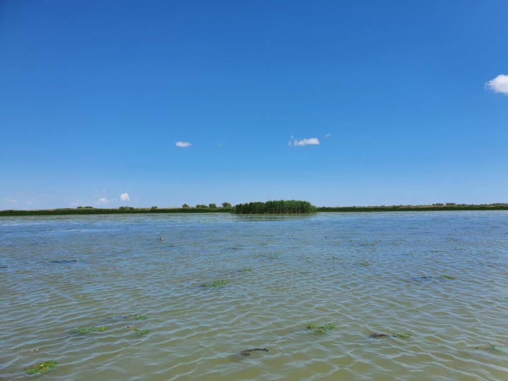 Ciotica From Sacalin Lagoon