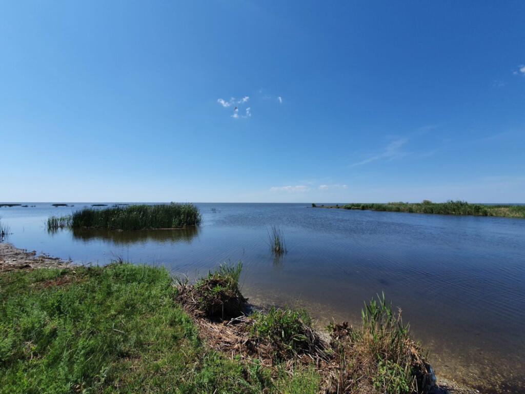 Ciotica and The Lagoon