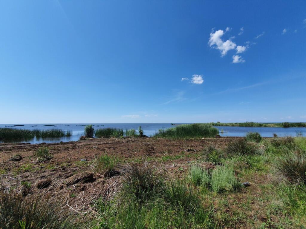 Sacalin Lagoon From Ciotica