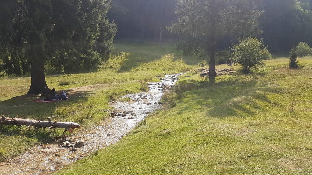 Picnic Area