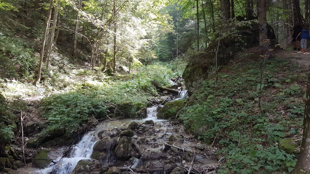Șapte Scări Brook