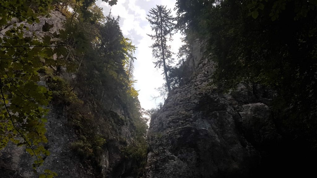 Seven Ladders Canyon Climb