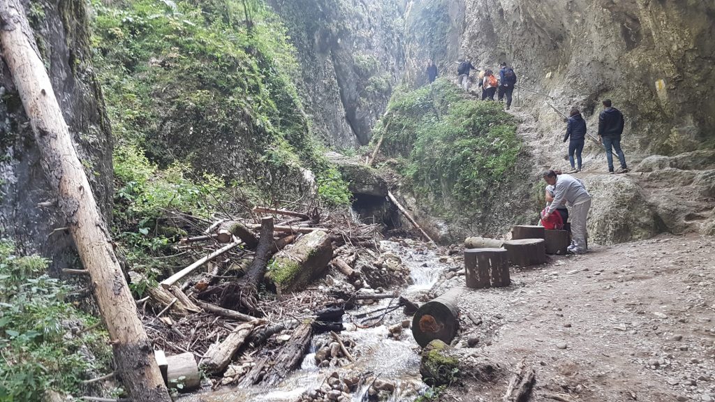 Mountain walkway