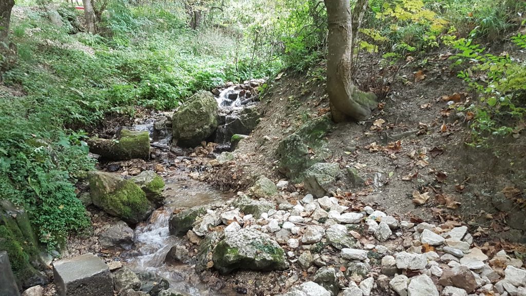 Mountain Stream