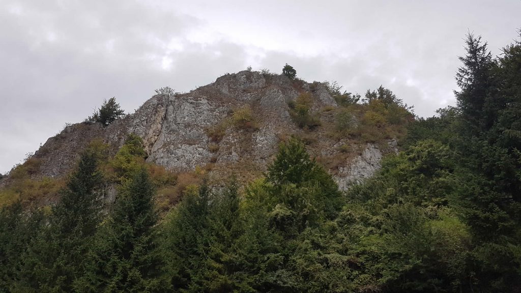 Walking near Brasov