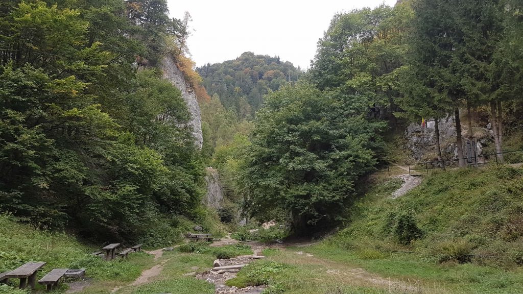 Carpathian Hikes