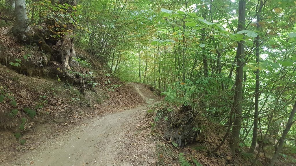 Walking in the mountains