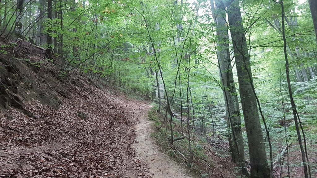 Path to Poiana