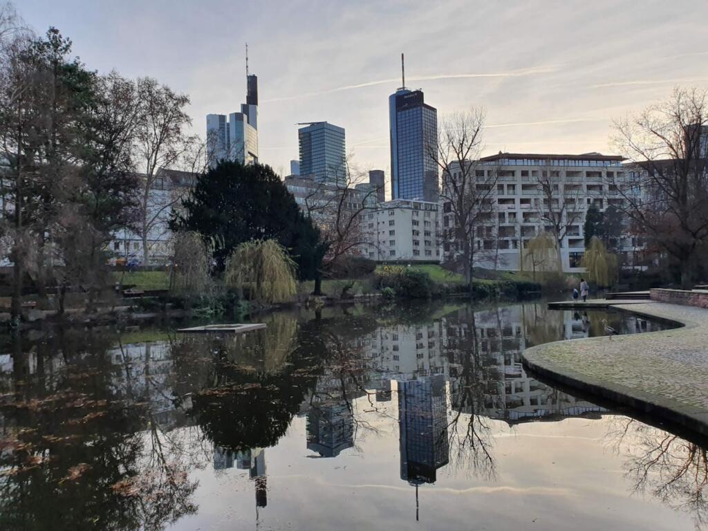 Park to walk dog in Frankfurt