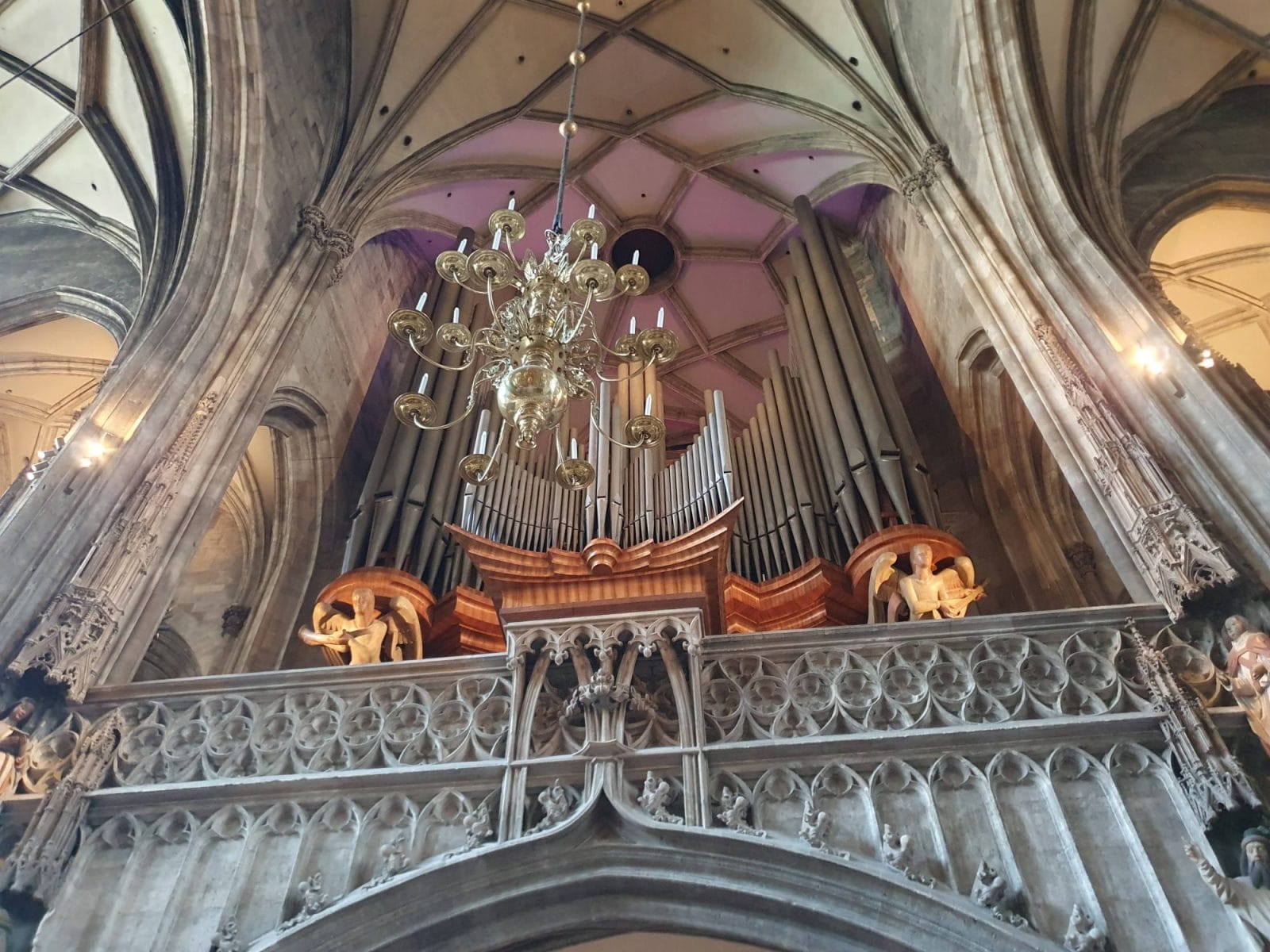 Free Area Organ