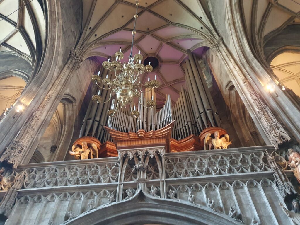Organ St Stephens Cathedral