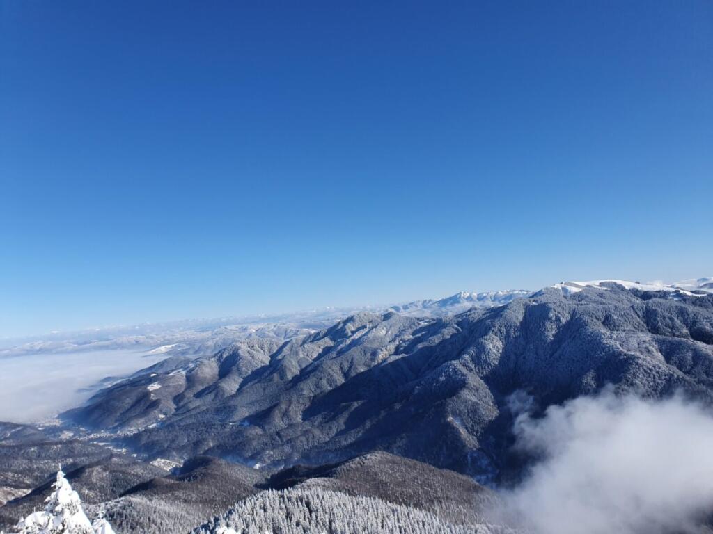 postăvarul massif