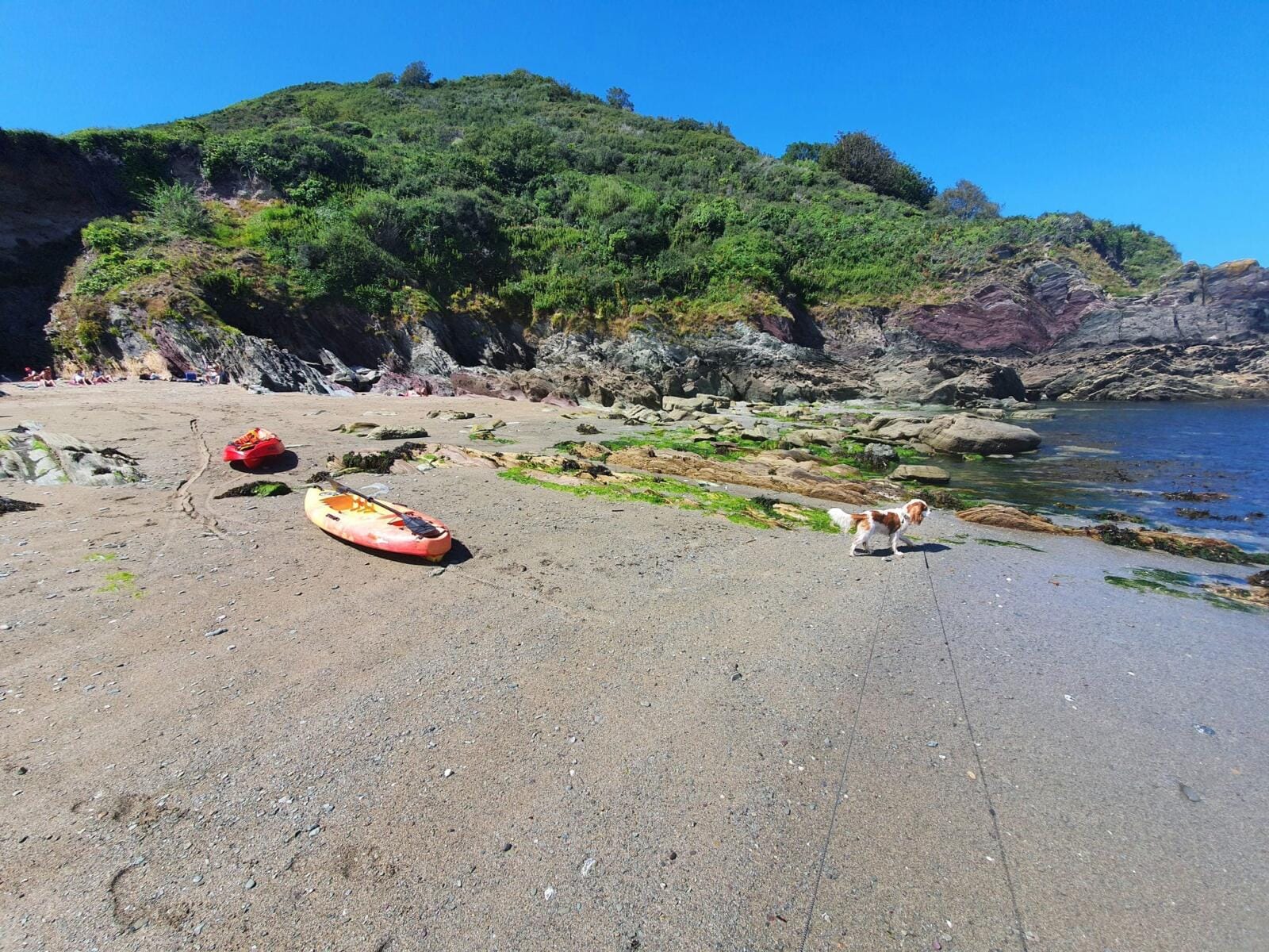 Lekerock Beach Cornwall Dog Walk