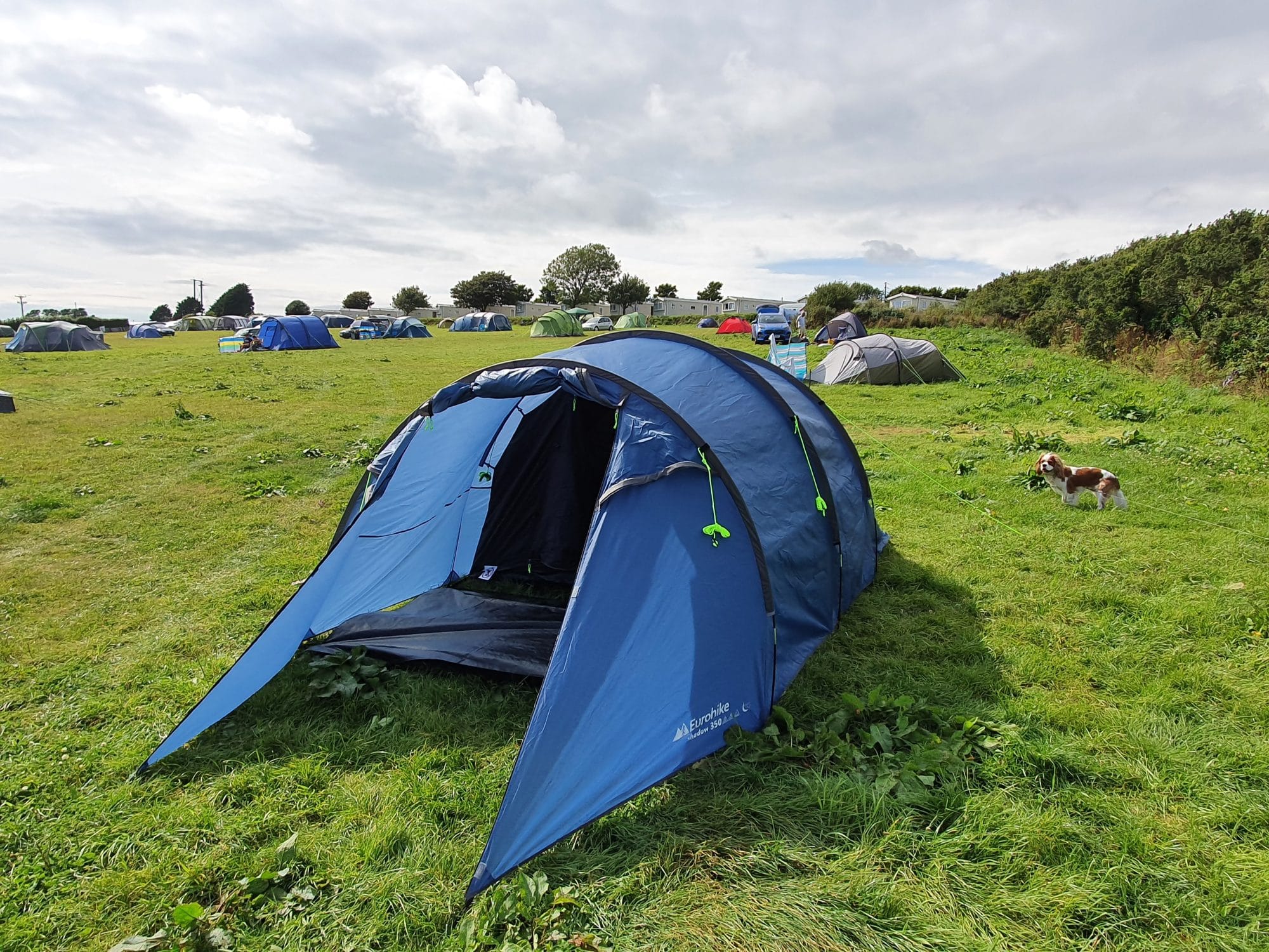 Shadow Nightfall Tent