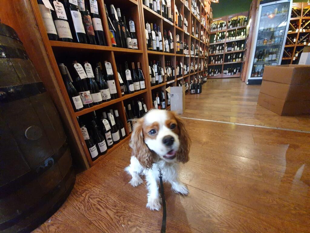 Connolly's Wines - Dog Friendly Bar in the Jewellery Quarter