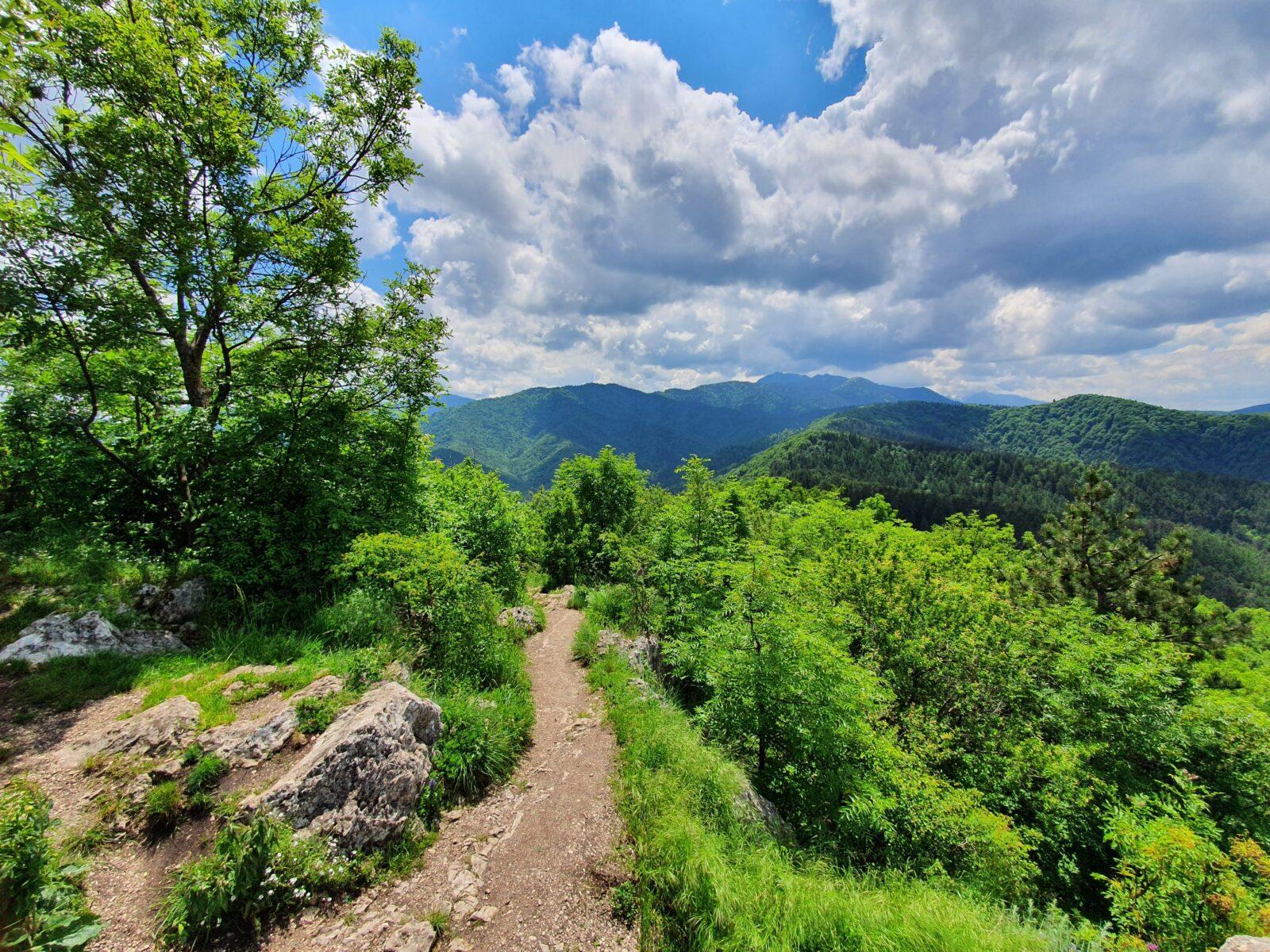 Hiking Trail Mount Tampa in Brasov