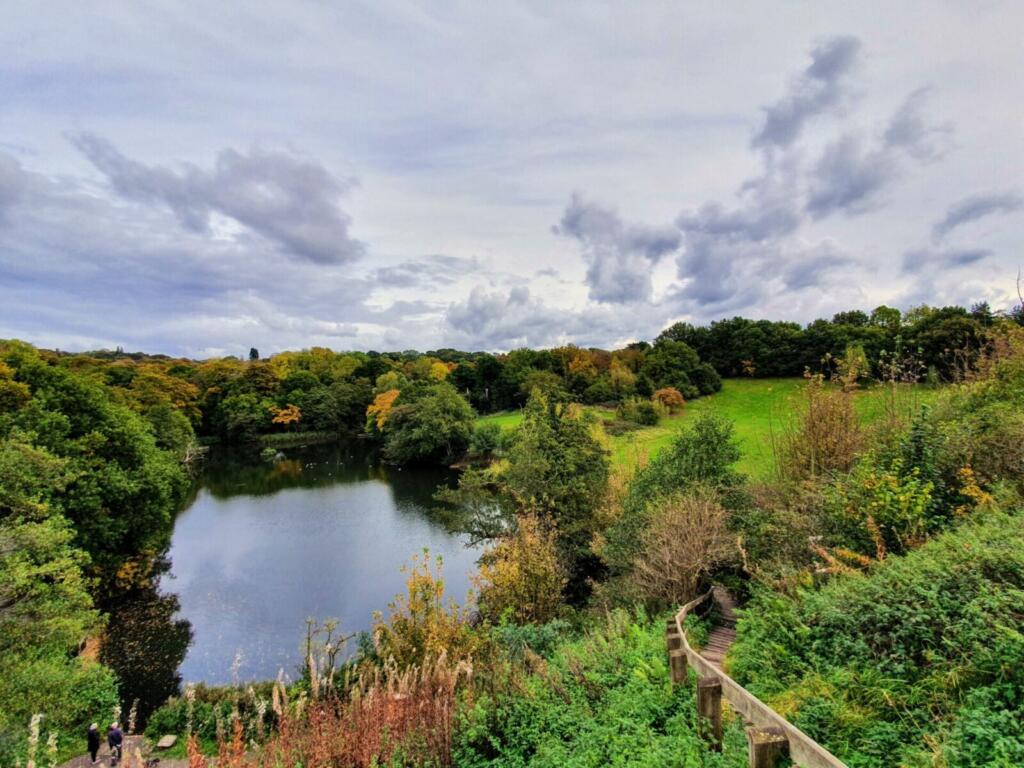 Breaches Pool at Leasowes Park in Halesowen
