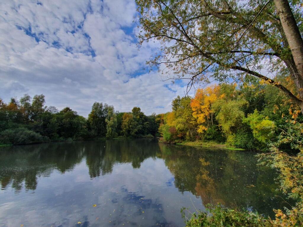 Bumble Hole Nature Reserve.