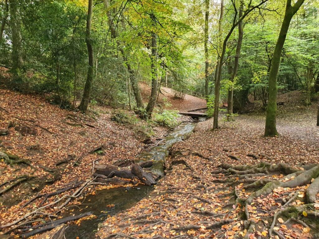 Leasowe Park Streams