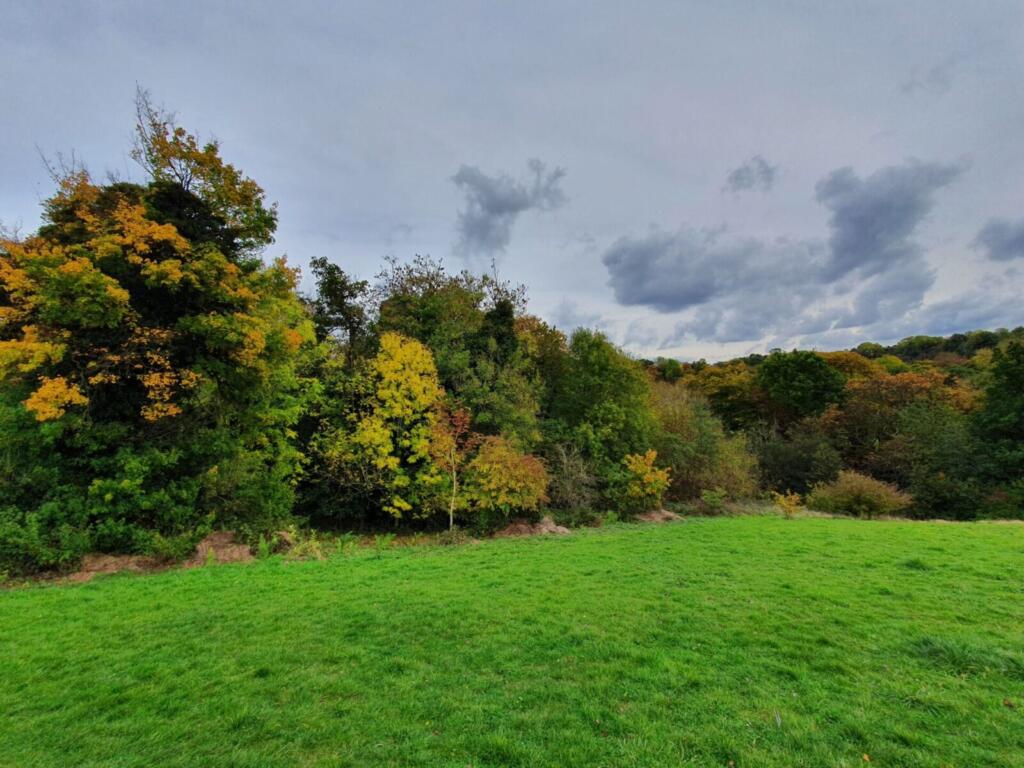 Meadow & Woodland Views