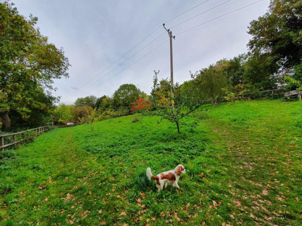 Memorial Orchard