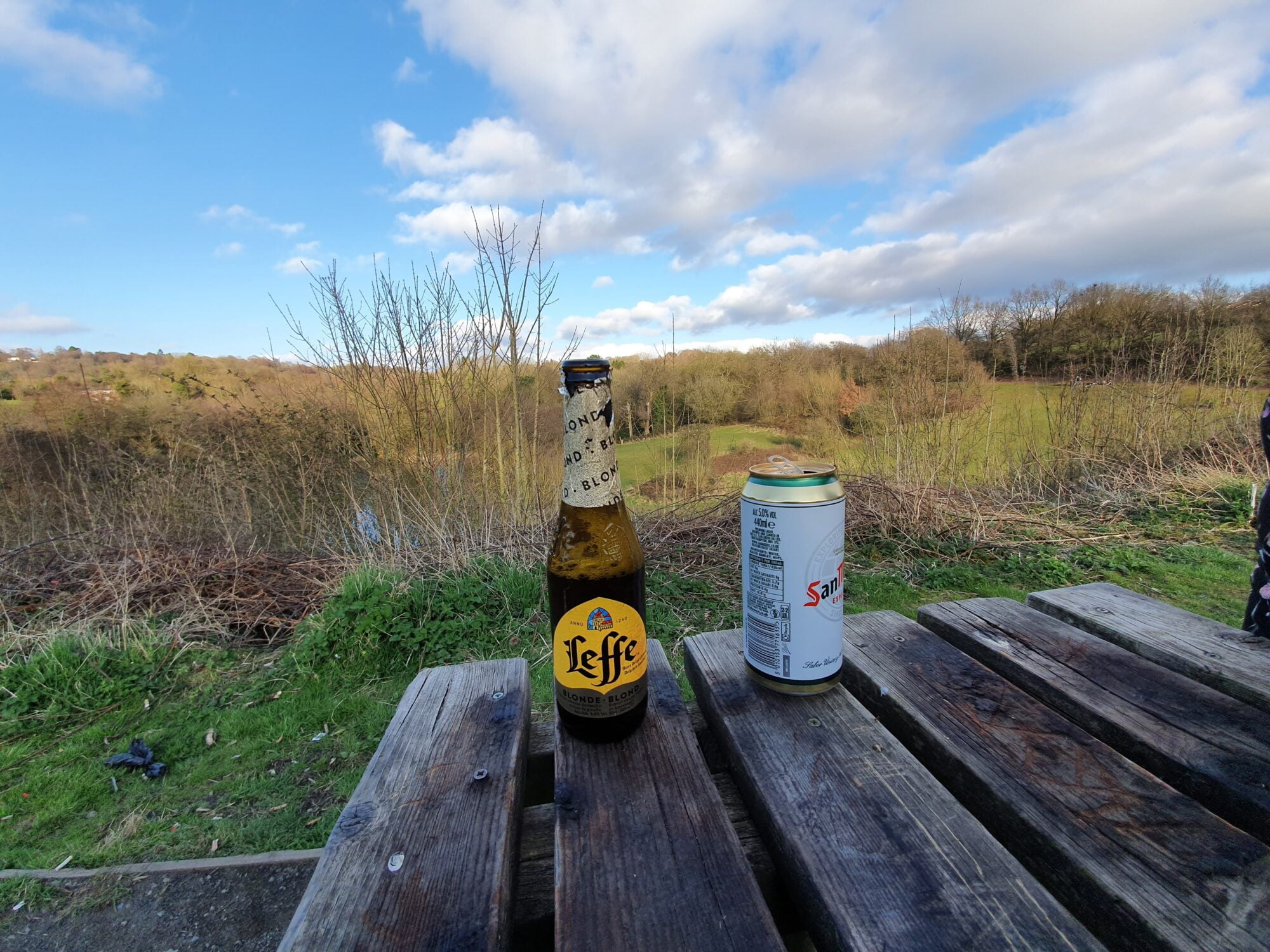 Picnic At Leasowes Park