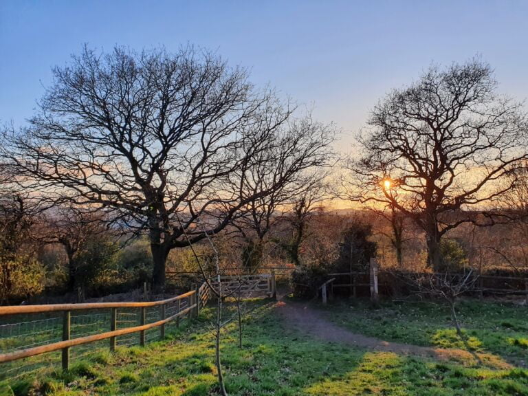 Sunset Leasowes Park