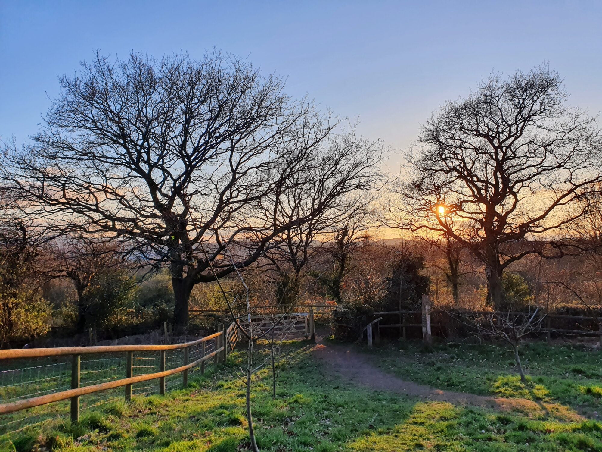Sunset Leasowes Park