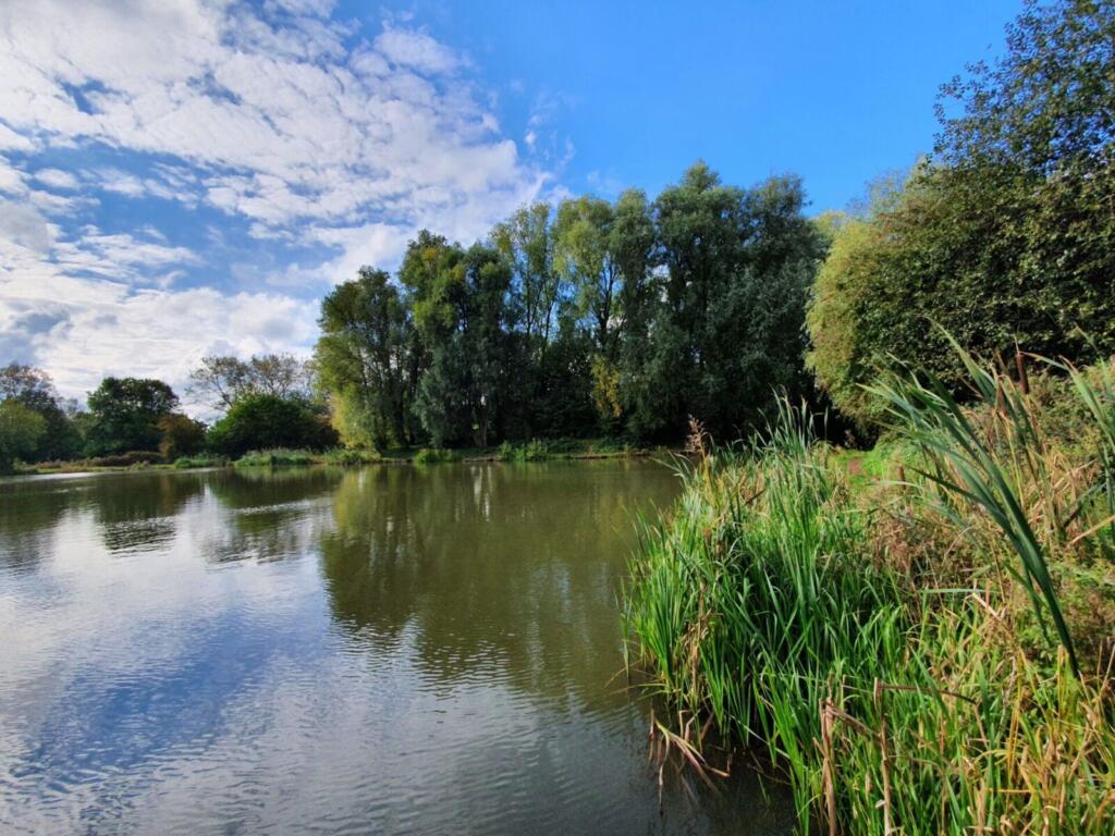 Swan Pool