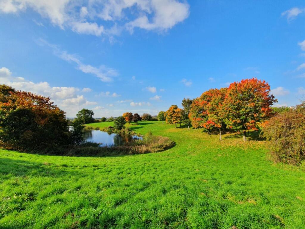 Top Pool Warren's Hall Nature Reserve