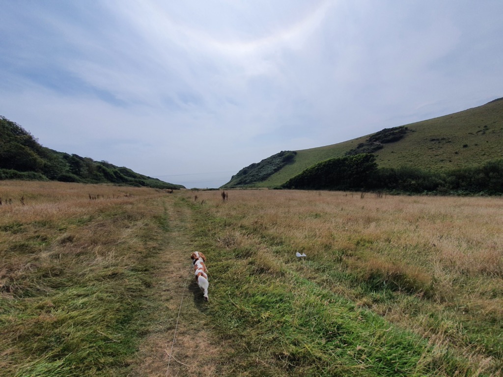 Walk to Lansallos Bay