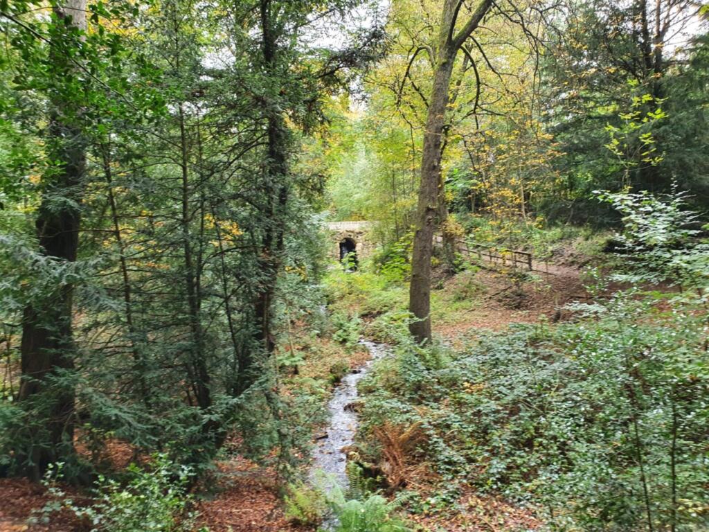 Waterfall Leasowe Park