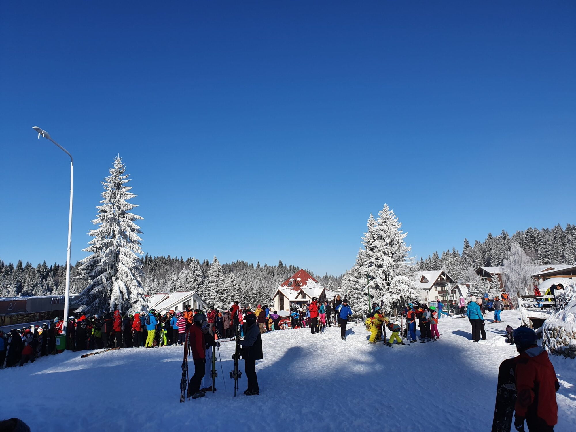 Winter Holiday