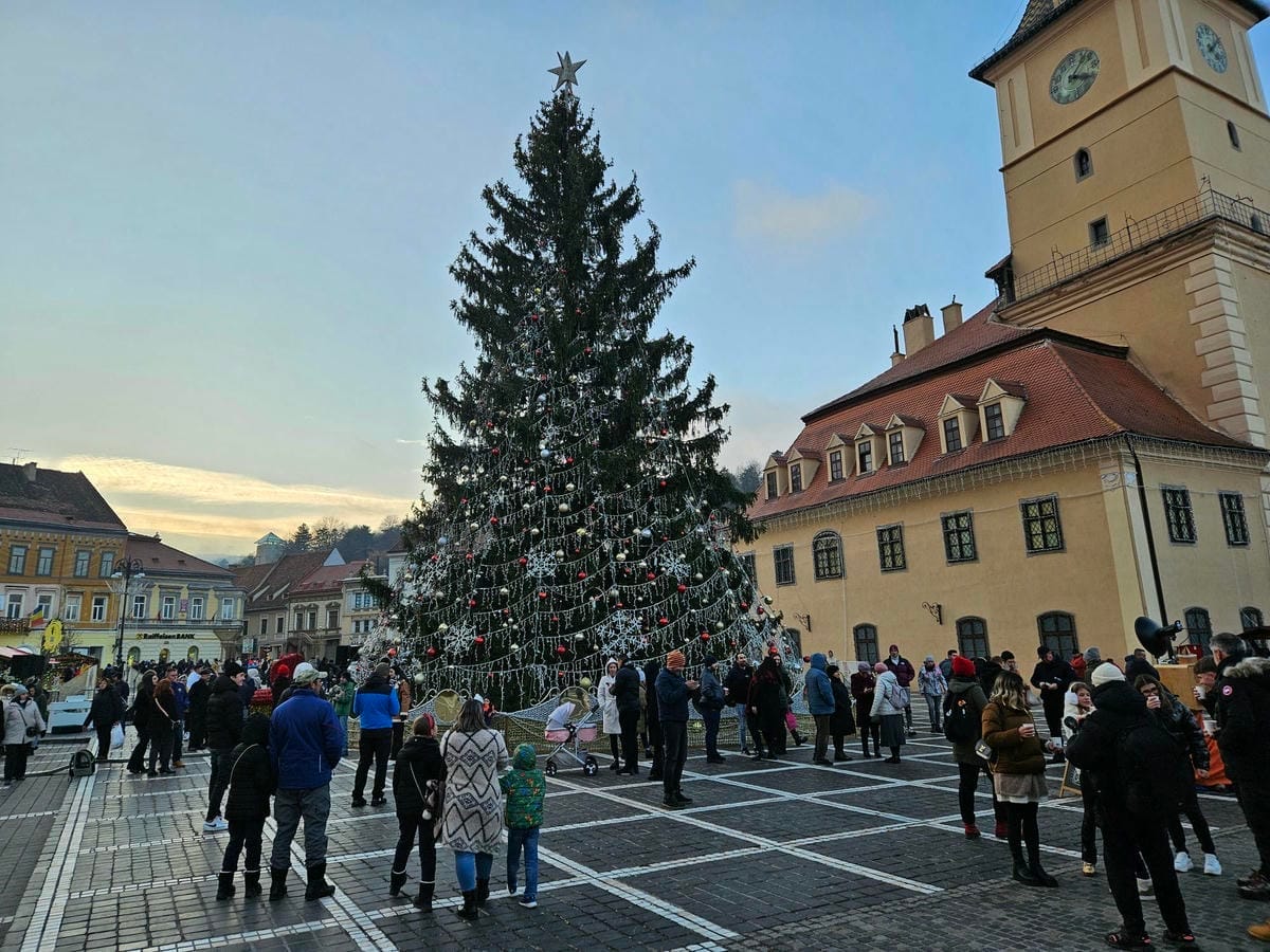 Xmas Tree Brasov