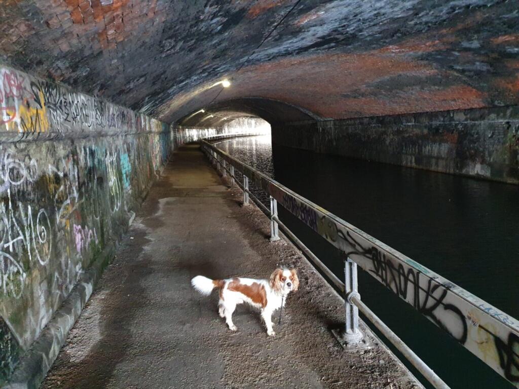 Curzon Street Tunnel