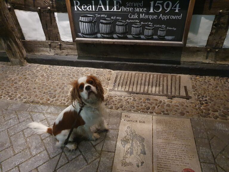 Dog Friendly Stratford upon Avon