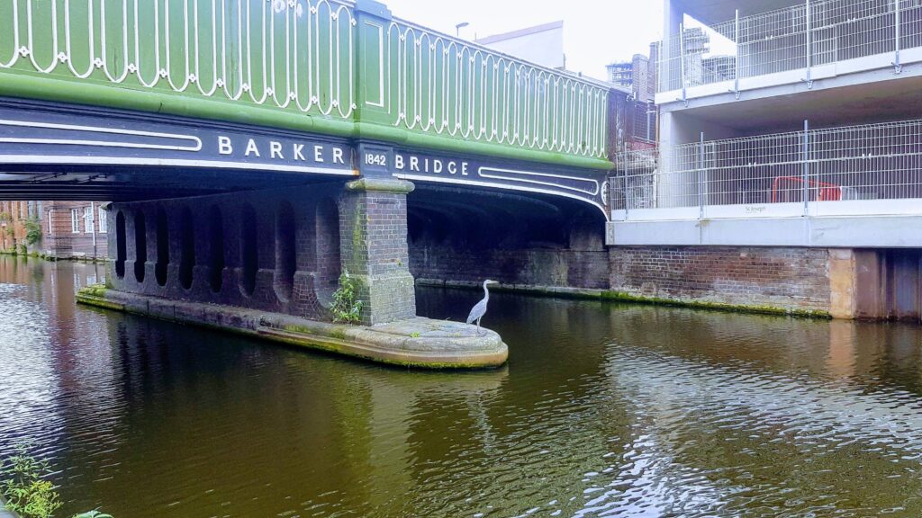 Heron at Barker Bridge