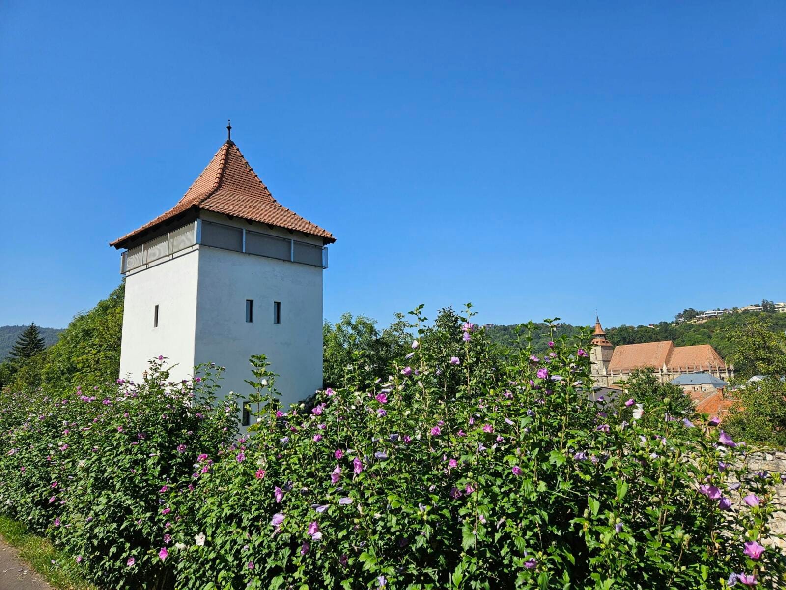 Art Tower & Black Church