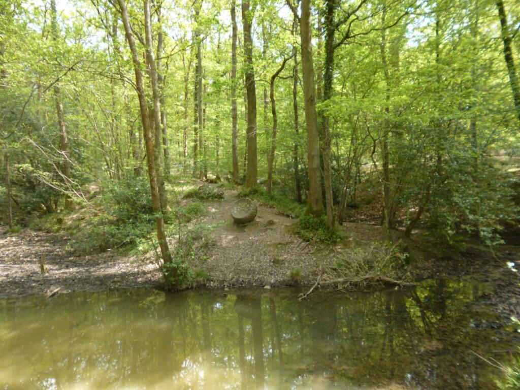 Art in the Forest