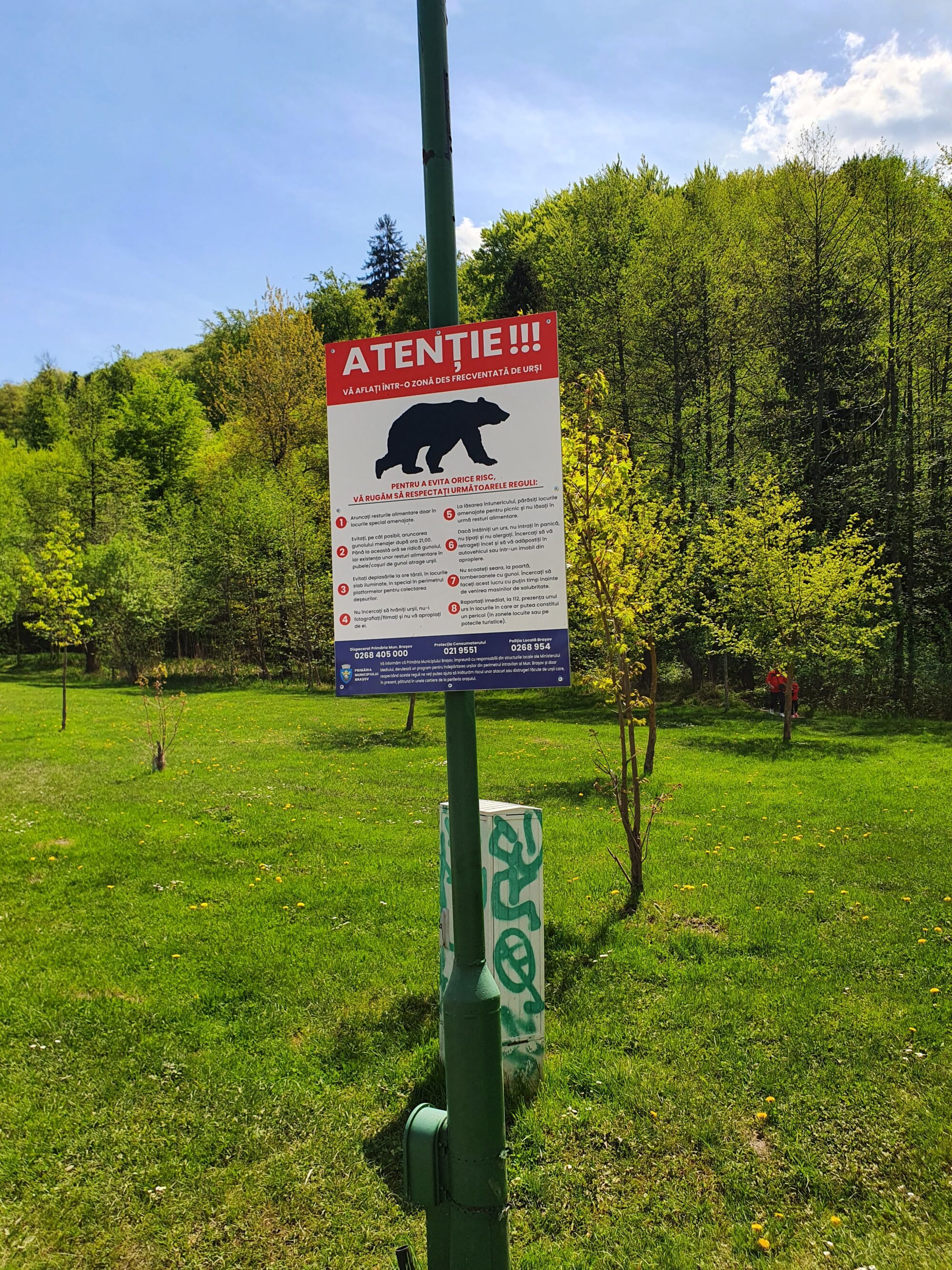 Bear Warning