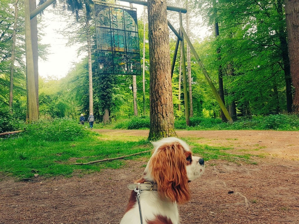 Dog Friendly Sculpture Trail
