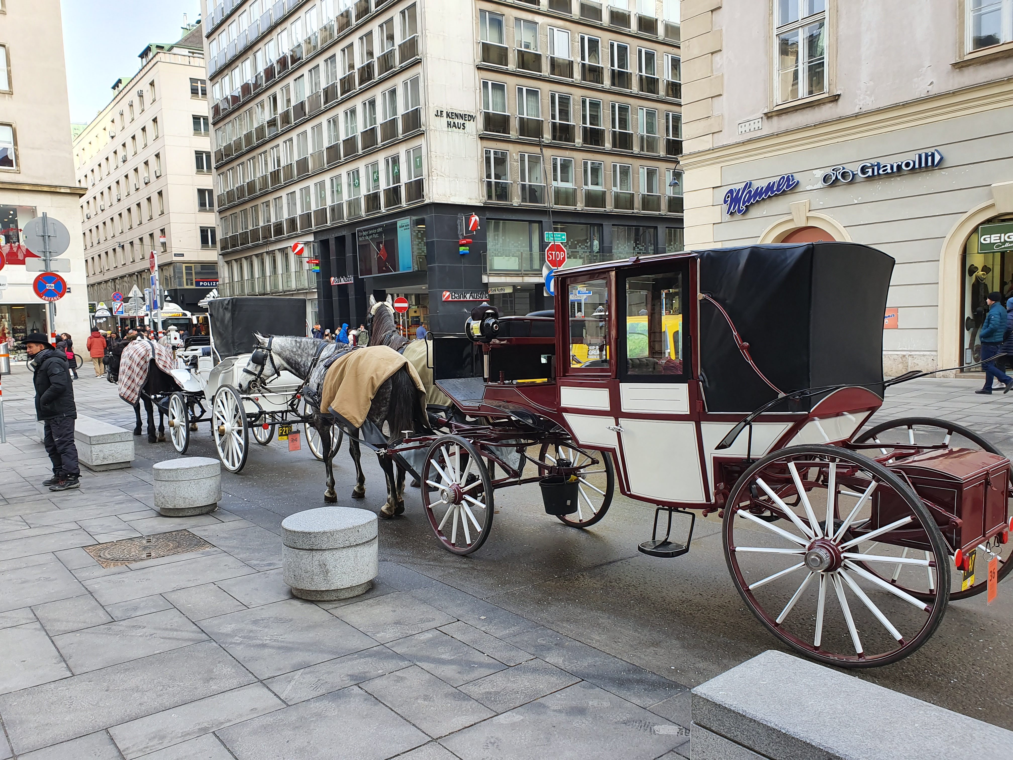 Horse & Cart Sightseeing Tours of Vienna