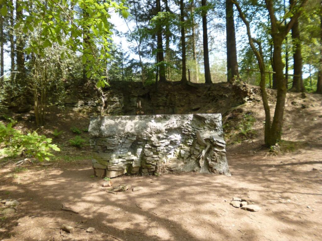 Echo at the sculpture trail