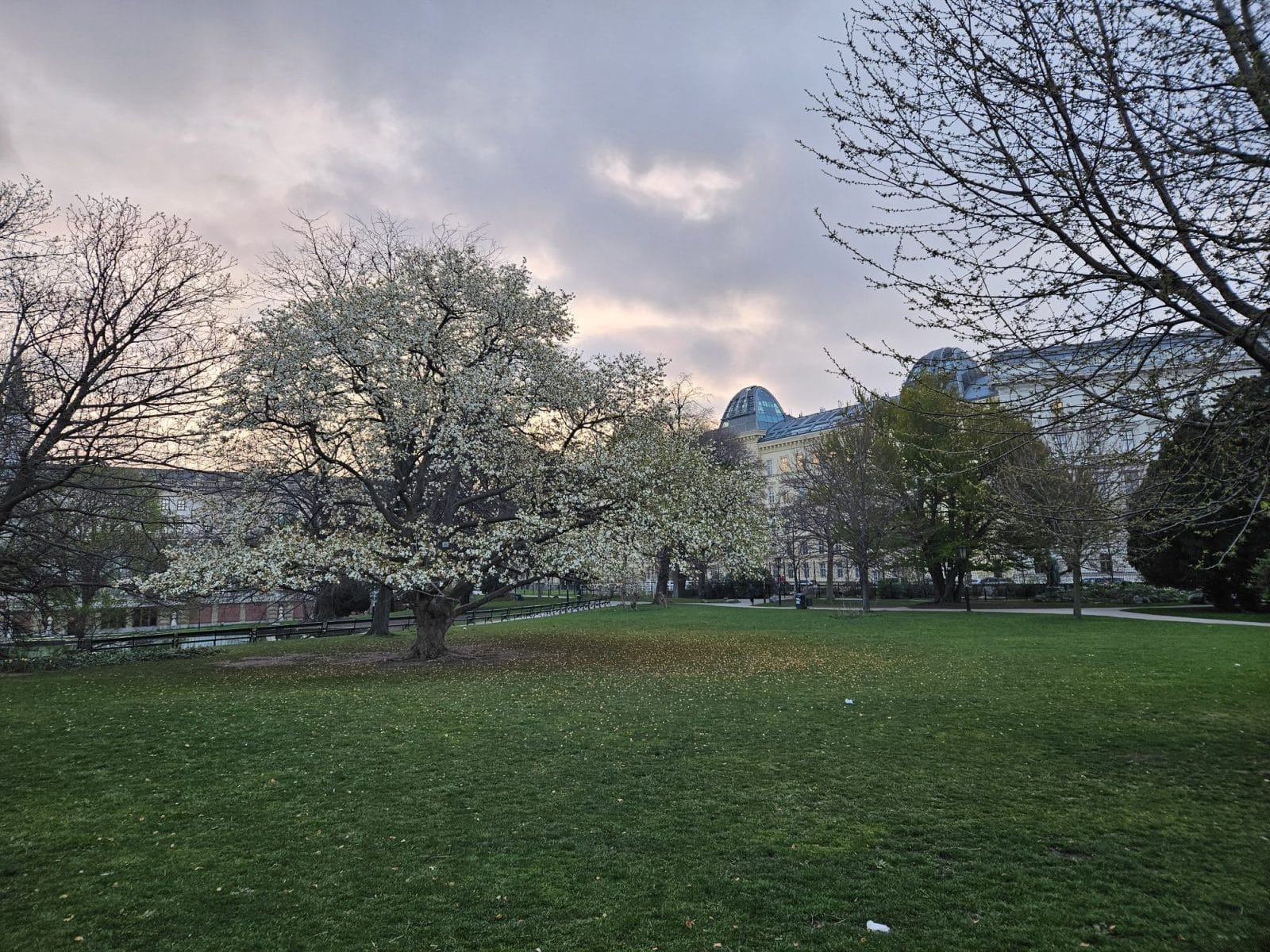 Burggarten Sunrise