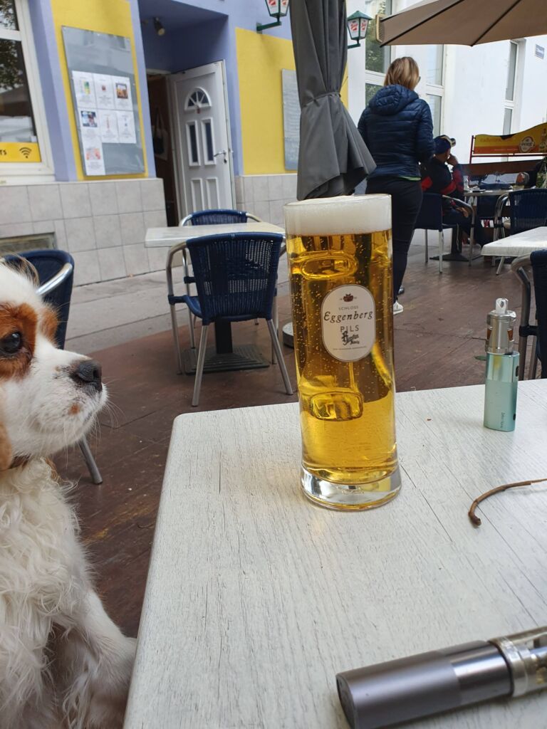 Cafe Alex Dog Friendly