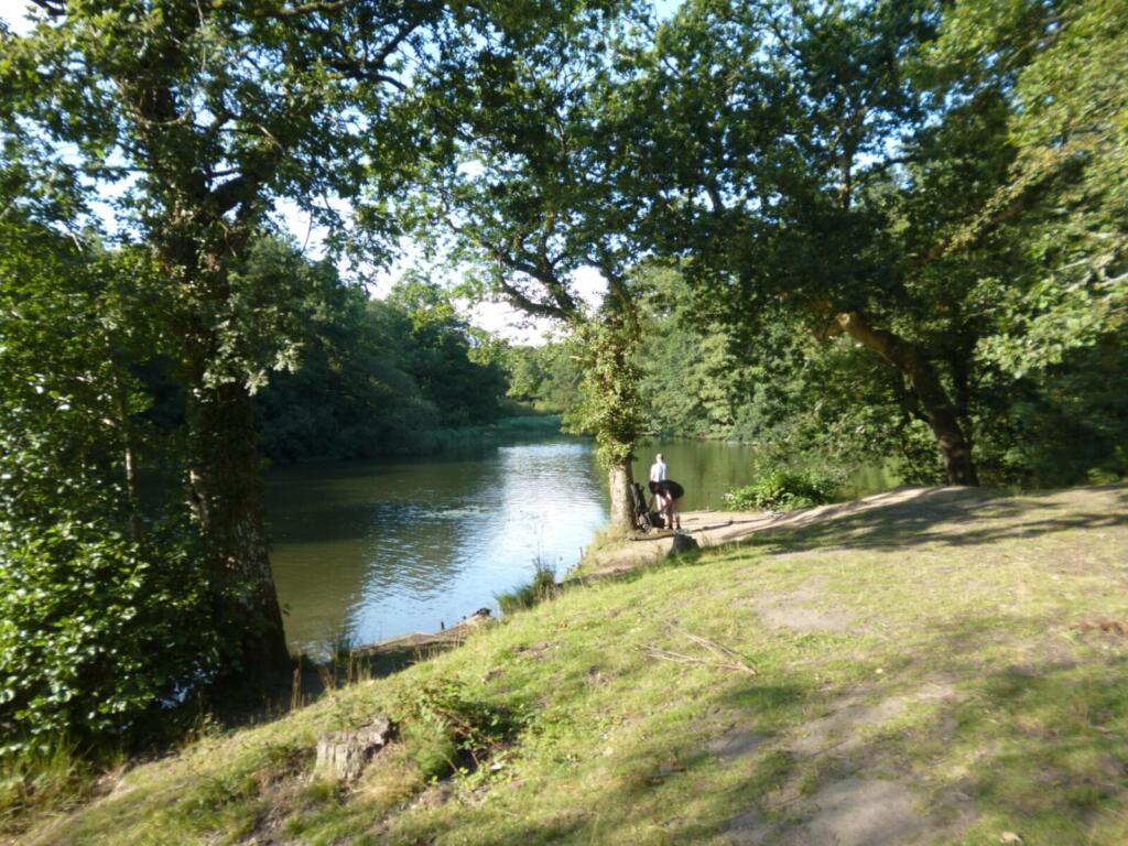 Cannop Ponds Lake Two
