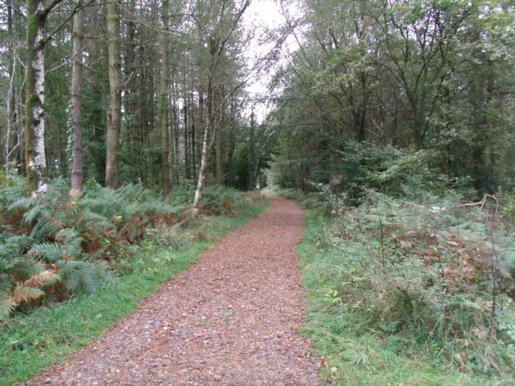 Cinderford to Drybrook Walk