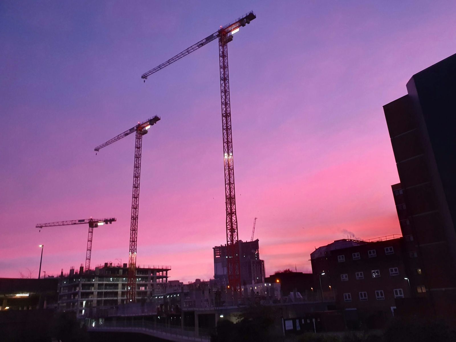 Cranes Sunrise