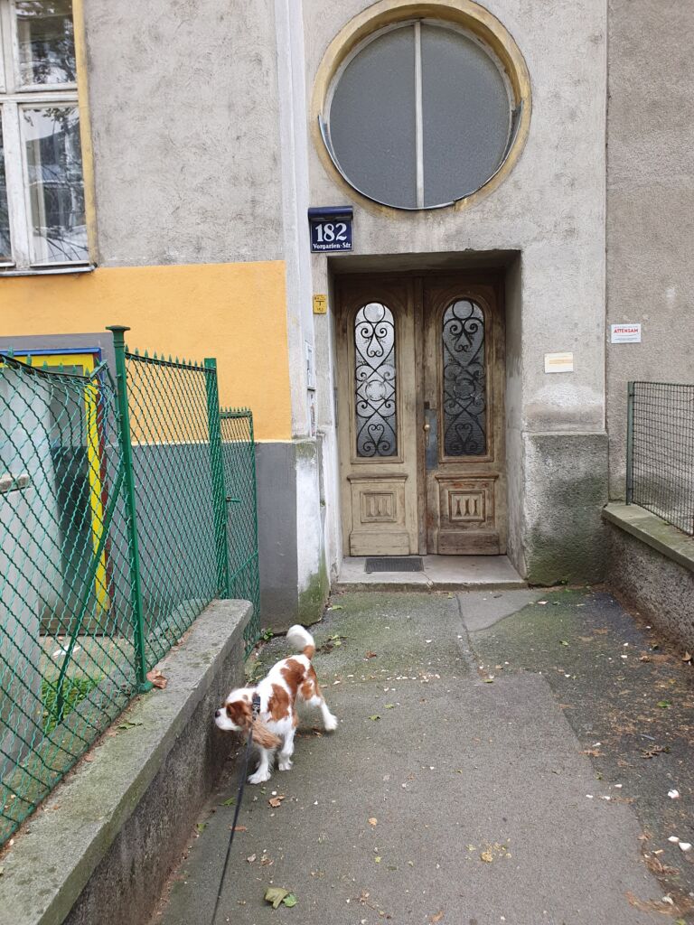 Dog Friendly Apartment Vienna