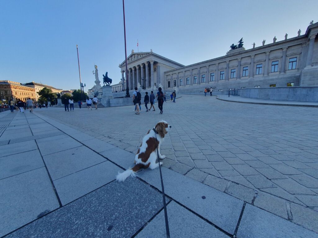 Dog Vienna Parliament Building
